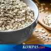 Apa bedanya Oat Instan dan Rolled Oat?